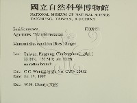 登錄號:F0008451藏品圖，第2張