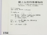 小皮傘屬藏品圖，第2張