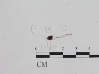 登錄號:F0008453藏品圖，第1張