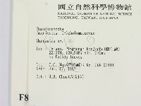 小皮傘屬藏品圖，第2張