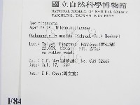 登錄號:F0008459藏品圖，第2張