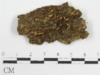 登錄號:F0008460藏品圖，第1張