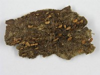 登錄號:F0008460藏品圖，第3張