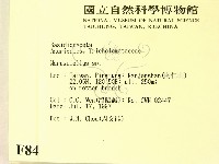 微皮傘屬藏品圖，第2張