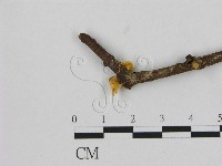 登錄號:F0008462藏品圖，第3張