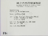 登錄號:F0008463藏品圖，第2張