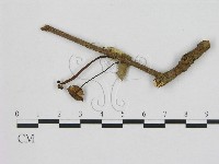 登錄號:F0008463藏品圖，第1張