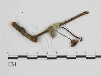 登錄號:F0008463藏品圖，第3張