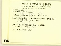 登錄號:F0008468藏品圖，第2張