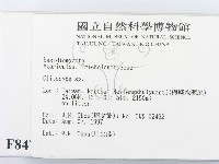 杯傘屬藏品圖，第2張