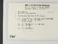 登錄號:F0008476藏品圖，第2張