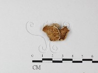 登錄號:F0008476藏品圖，第3張