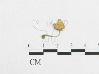 登錄號:F0008477藏品圖，第1張