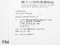 登錄號:F0008478藏品圖，第2張