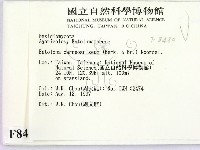 登錄號:F0008480藏品圖，第2張