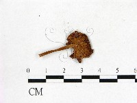 登錄號:F0008480藏品圖，第3張