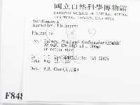 登錄號:F0008481藏品圖，第2張