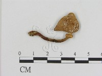 登錄號:F0008483藏品圖，第1張