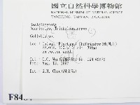 登錄號:F0008484藏品圖，第2張