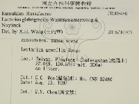 登錄號:F0008486藏品圖，第2張