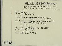 登錄號:F0008488藏品圖，第2張