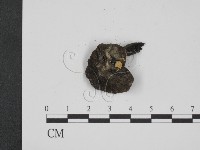 登錄號:F0008488藏品圖，第3張