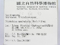 登錄號:F0008489藏品圖，第2張