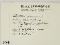 棕色革菌藏品圖，第2張