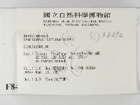 登錄號:F0008492藏品圖，第2張