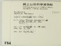 登錄號:F0008493藏品圖，第2張