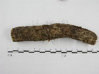 登錄號:F0008494藏品圖，第1張