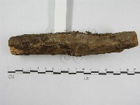 登錄號:F0008494藏品圖，第3張