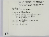 登錄號:F0008496藏品圖，第2張