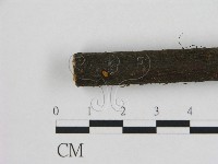 登錄號:F0008496藏品圖，第1張