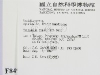 登錄號:F0008498藏品圖，第2張