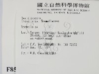 銀耳屬藏品圖，第2張