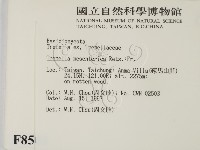 登錄號:F0008503藏品圖，第2張