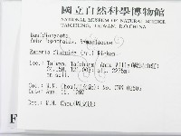 登錄號:F0008504藏品圖，第2張