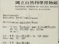 登錄號:F0008505藏品圖，第2張