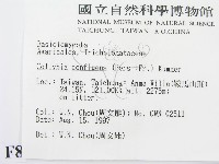 登錄號:F0008509藏品圖，第2張