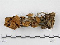 登錄號:F0008509藏品圖，第5張