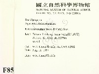登錄號:F0008510藏品圖，第2張