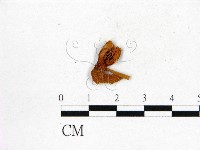 登錄號:F0008510藏品圖，第3張