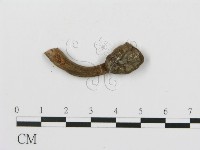 登錄號:F0008513藏品圖，第1張