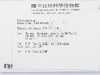 登錄號:F0008514藏品圖，第2張