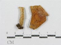 登錄號:F0008514藏品圖，第3張