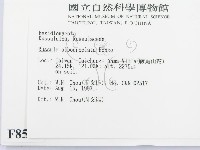 登錄號:F0008515藏品圖，第3張