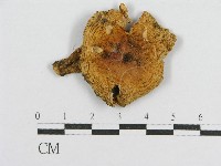 登錄號:F0008515藏品圖，第1張