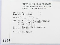 紅菇屬藏品圖，第2張