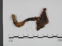 登錄號:F0008519藏品圖，第3張